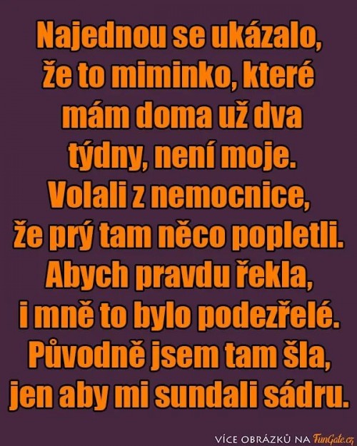-Vt-Neu-8.jpg