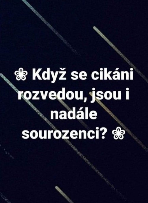-Vt-Neu-9.jpg