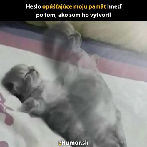 1000082317.jpg