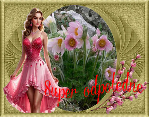 02b5098f7c_101386574_o2.png