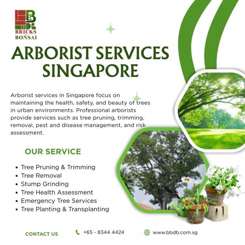 Arborist-services-Singapore.jpg