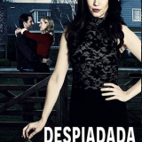 imagen84029c1c81175bd7.png