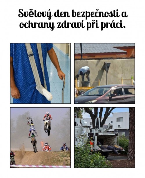 1000083196.jpg