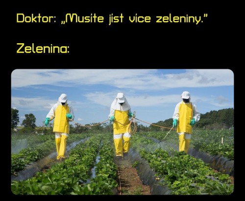 1000083863.jpg