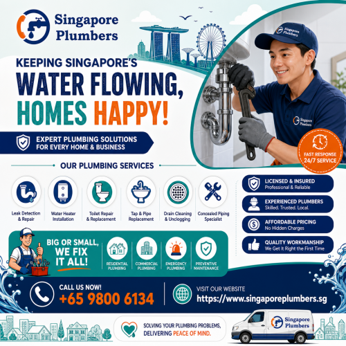 Hassle-Free-Plumbing-Solutions-Right-When-You-Need-Them.png