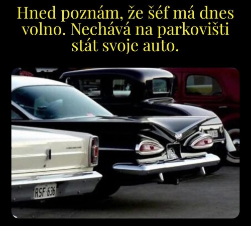 1000083479.jpg