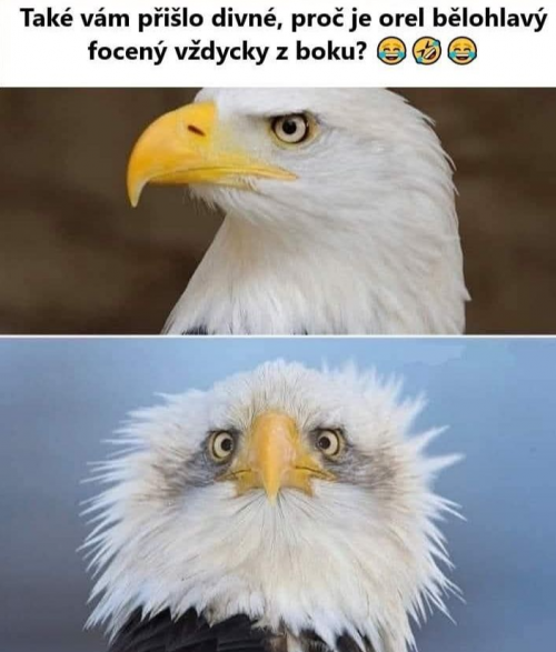 Vyber-6.png
