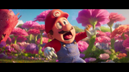 img000035591f95a714df96e.png