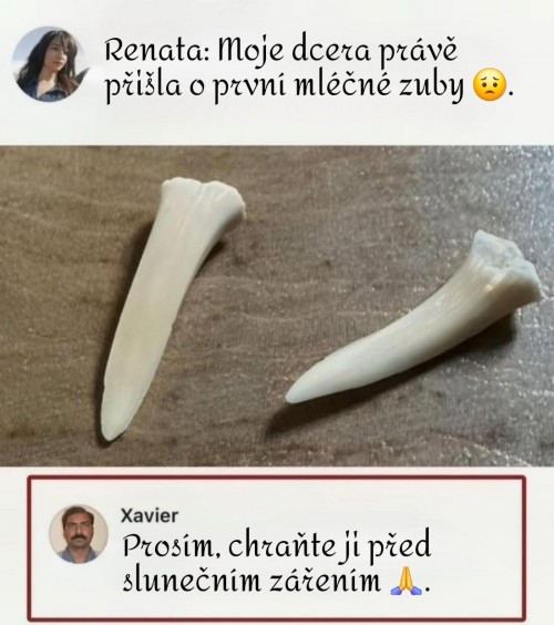 1000087546.jpg
