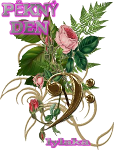 _dlya_foto1-mmn.png