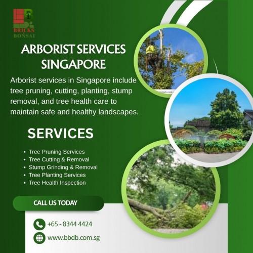 Arborist-services-Singapore-1.jpg
