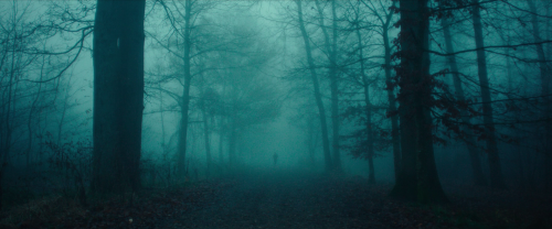 img0000419a946b324fa68c2.png