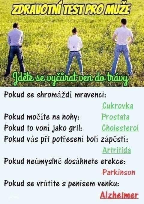 -vt-1.jpg