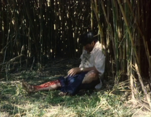 img00001c5f35b68472abf4d.png