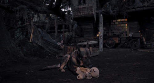 img0000495c1ff43226ff9ed.png
