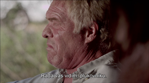 img000013595a80bd4957a19.png