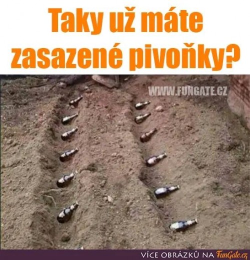 -aVWF-2.jpg