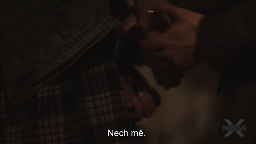 img00010.png