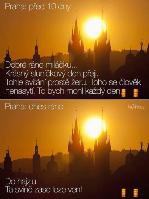 1000090380.jpg