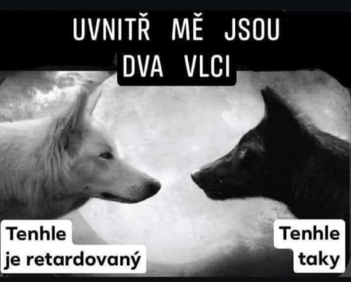 vl.jpg