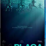HDa0c77716f2efaa7d.png