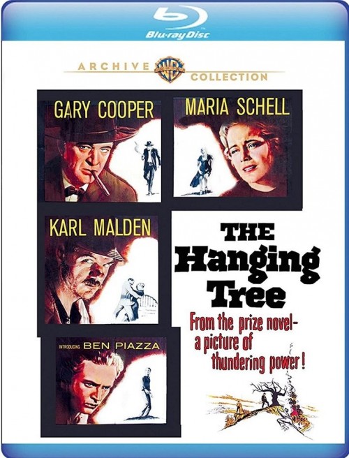 Hanging_tree.jpg