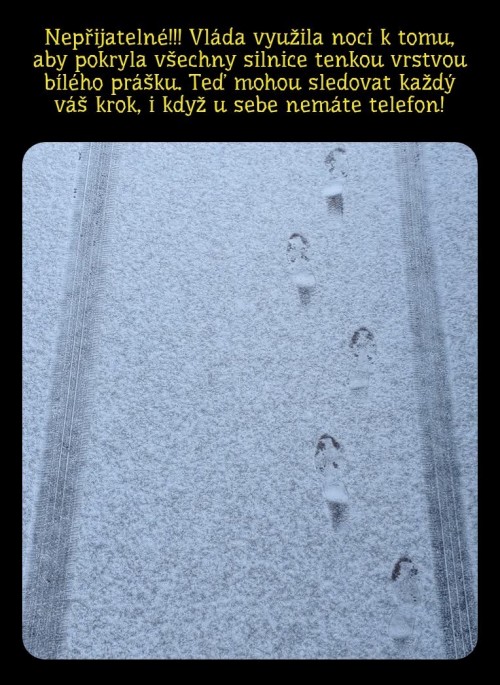 1000095383.jpg