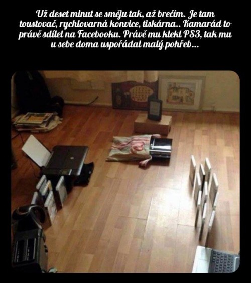 1000095462.jpg