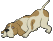 Slidici-pes-1.gif