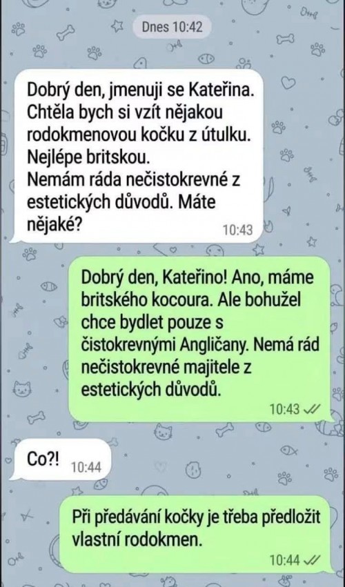 kocour.jpg