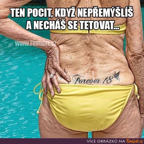 -VTV-2.jpg