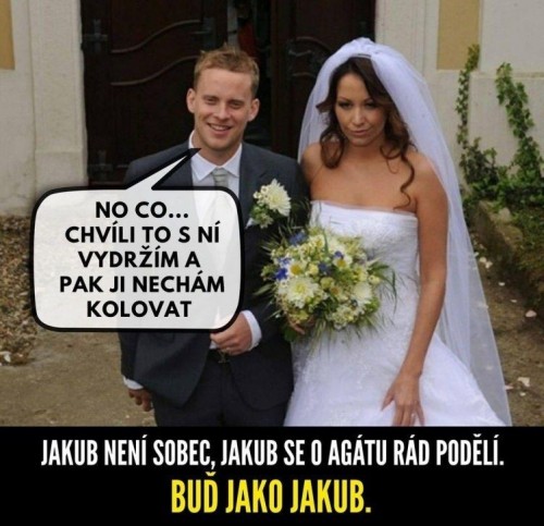 -VTV-3.jpg