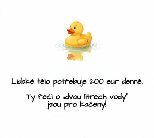 1000096241.jpg