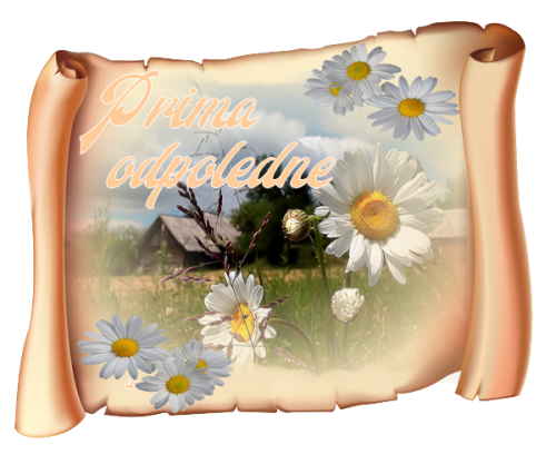 0_6ac7b_84a3952d_orig.png
