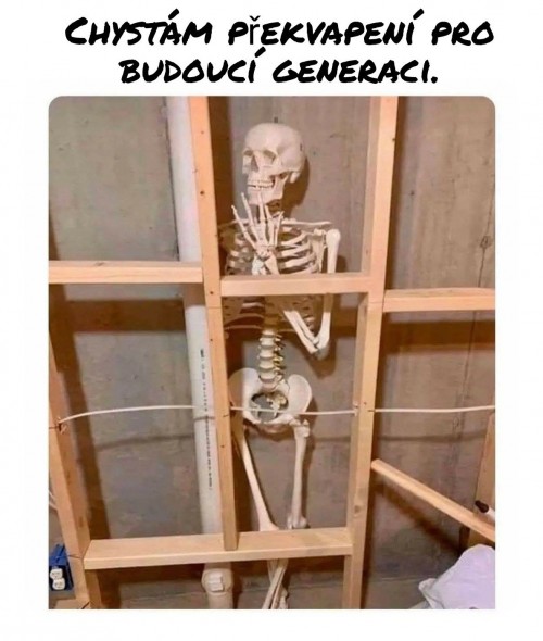 1000096988.jpg