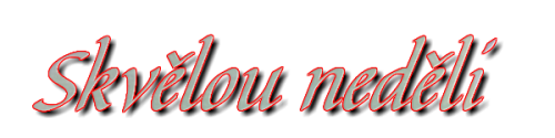 n9.png