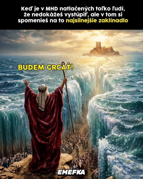 1000113646.jpg