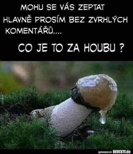-WFV3-2.jpg