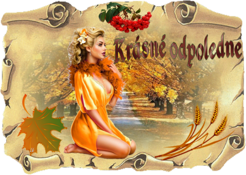 0_6e4d0_cdf14cbf_L.png