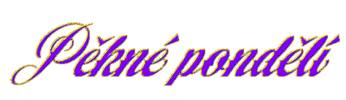 fipon.png