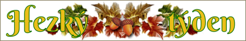 ty7cc.png