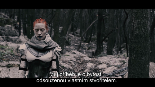 img00007.png