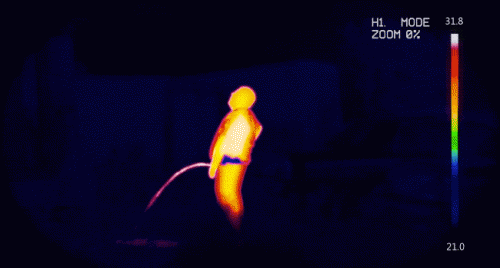 1000129189.gif